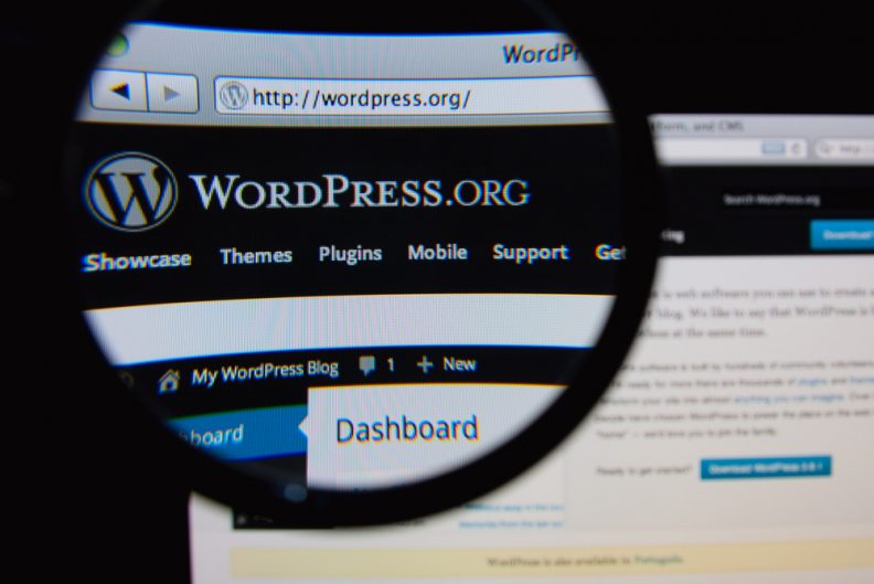 WordPress Eklentileri